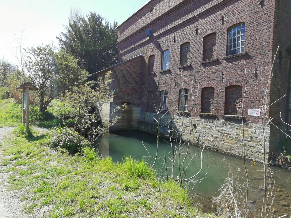 Die Mühle in Weslarn.