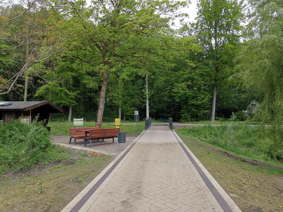 Der Weg in den Rhododendronpark im Kurpark Bad Sassendorf