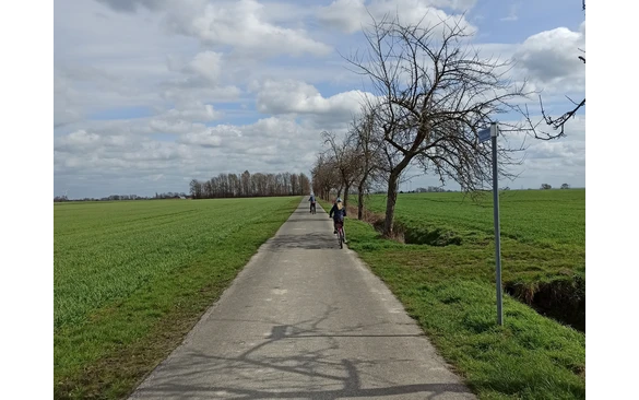 Links und rechts säumen Felder den Weg von Weslarn nach Bettinghausen.