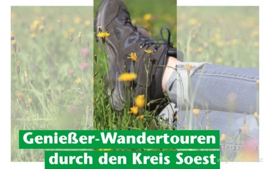 In den Städten und Gemeinden im Kreis Soest gibt es viel zu entdecken. Im Booklet "Genießer-Wanderungen durch den Kreis Soest" finden Sie eine Auswahl an Wandertourentipps.
